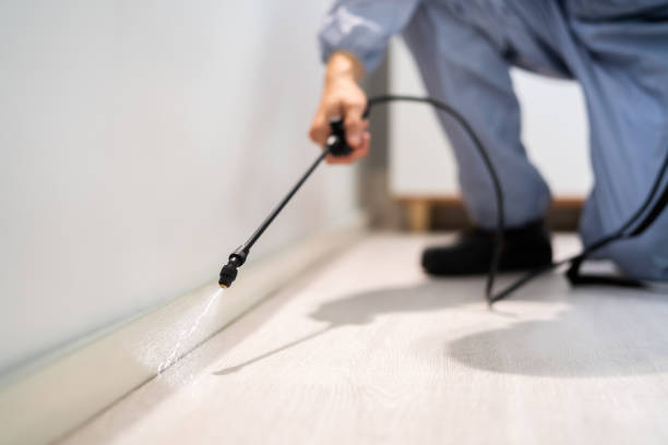 Licensed Cockroach Control service in Prince William County County, VA - Nex Pest Control